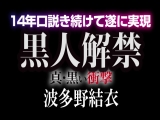 14年口説き続けて遂に実現！ 黒人解禁 真・黒い衝撃 波多野結衣