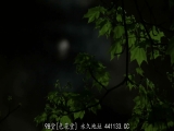 丈夫去世了... 44岁的性生活 小野幸子