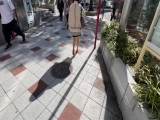 まおちゃん
