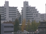 专业主妇 静香 39岁 性方面的烦恼