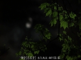 被义父 逗弄的七天 美泉咲
