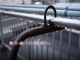 ★配信限定！特典映像付★隣に引っ越してきた若妻痴女のドエロいパンチラ誘惑 紫月ゆかり