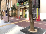 なな(1●)/かわいすぎてもはや顔面国宝のJ●【一限目】デート直後に人生初のラブホIN！見つめてくるのが可愛すぎて思いっきり膣内射精♪【二限目】ラブホといえば「光る風呂」！水しぶきたてながらバックで突き尽くす！【課外授業】フリフリうさ耳パー