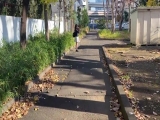ななみ