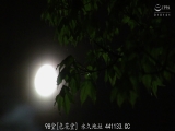 美丽母亲的浓厚亲吻 爆汗致孕性交 赤井美希