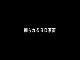 ケイコ13