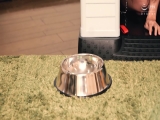 ごっくんペット 精子が大好きな愛玩犬 枢木あおい