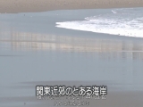 比基尼巨乳大姐姐 想蹭蹭我的巨乳吗？