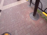 すみれ
