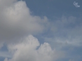 ljijo