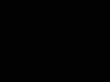 ICDV30016