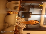 【风鸣鸟唱花探】，探花直播首秀，良家，家中吃晚饭，啤酒助兴，无套内射，精彩大戏必看