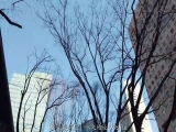 有名大学毕业 丈夫是公司职员 但身心没得到满足的人妻 桧山友理香 34岁