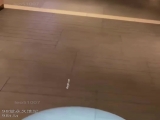 漂亮女神被金主爸爸调教沦为小母狗❤️机场公厕露出 全裸摸乳玩穴太淫荡欠操了 完美露脸 