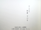 美人女医生的保险适用外治疗 加藤椿
