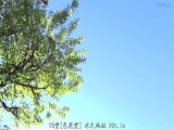 出差按摩师的卑猥施术 让乳头高潮的敏感开发 按捺不住主动请求肉棒的我