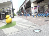 生中痴●集団5 イキ潮をまき散らす敏感ギャル