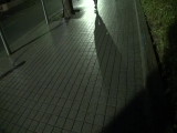 さくらさん