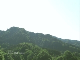 出張先の温泉旅館で部下の新卒OLとまさかの相部屋 純真無垢な誘惑 逆NTR 天宮花南