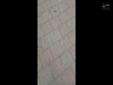 デカ乳素人 女子大生