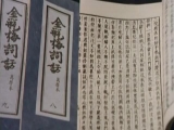 金瓶风月