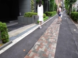 くるみさん