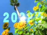 マジックミラー号 2022夏 水着美女7名撮り下ろし！ 真夏の日差しで火照ったカラダを性感オイルマッサージ 敏感になった素人娘を4回イカせてキュッとしまったウブま○こに生ハメ・戸惑いながら初めての中出し 大増量7時間SP 1
