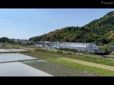 有名T○kTokerが地方に引っ越し。地元の男をM男にして毎日連続射精セックスしています。 いちか先生